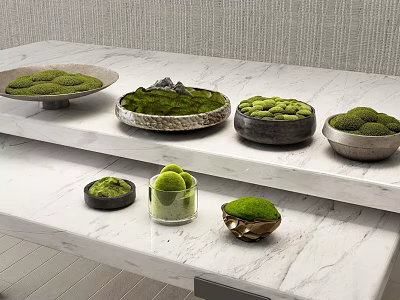 Elegant Display of Moss Filled Bowls on White Marble Countertop 3d model
