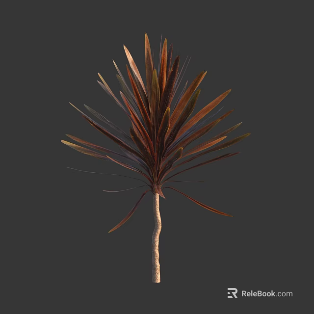 Tropical Tree With Slender Trunk And Reddish Brown Green Leaves 3d model