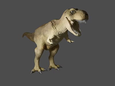 Reptile Tyrannosaurus Rex Dinosaur 3D Model Showing Open Mouth And Sharp Teeth 3d model