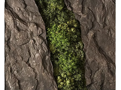 Indoor Natural Green Plant Wall Design With Rock Accents And Lush Foliage Decoration 3d model