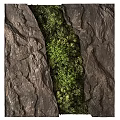 Indoor Natural Green Plant Wall Design With Rock Accents And Lush Foliage Decoration