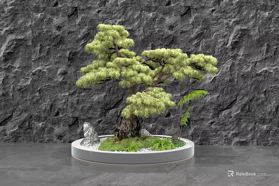 Bonsai Pine Tree Garden Ornament With Round Base Small Stones Green Plants And Rock Background 3d model 