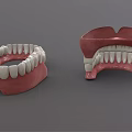 Dental Medical Devices Featuring Red Denture Bases And White Teeth Components 3d model
