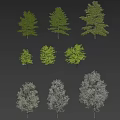 Different Arbor Varieties Displaying Leafy And Leafless States With Human Figures 3d model