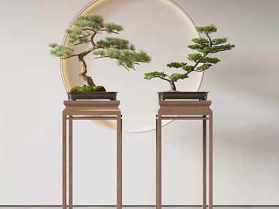 Two Green Bonsai Trees Placed on Wooden Stands with Circular Decorative Backdrop 3d model