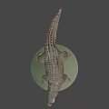 Game Movie Character Crocodile 3D Model With Green Base And Gray Background