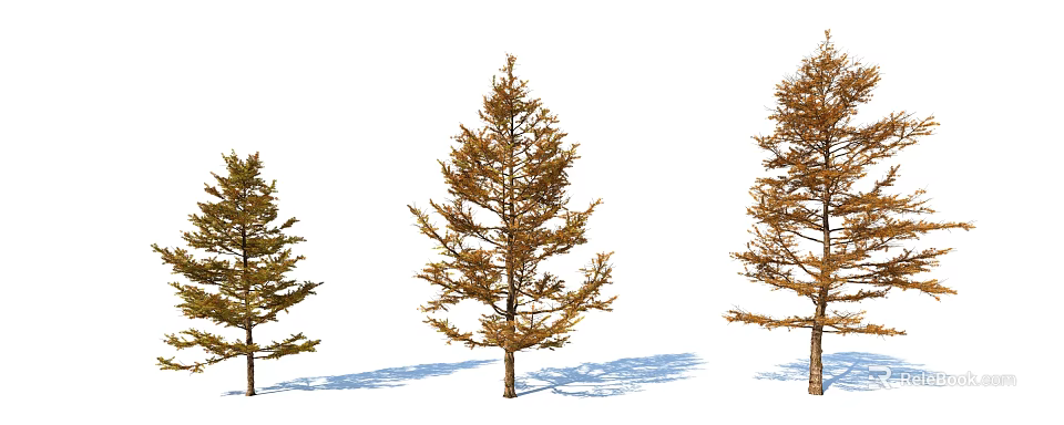 Arbor Trees With Autumn Foliage And Shadow Details On White Background 3d model 