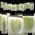 Modern Decorative Chandelier With Transparent Glass And Green Leaf Patterns For Interior Design