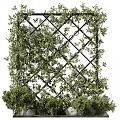 Lush Green Vines Growing On Decorative Metal Trellis With Surrounding Plants And Stones