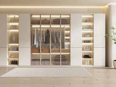 Modern White Wardrobe Interior With Glass Doors Hanging Clothes Shelves And Drawers 3d model