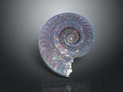 Vibrant Spiral Fossil With Purple Blue Pink Hues On Dark Background 3d model