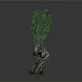 Artistic Bonsai Tree Decorative Indoor Furniture With Curved Trunk And Green Foliage