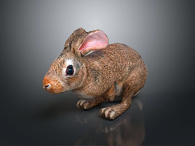 Cute Small Brown Rabbit With Big Ears Sitting On Dark Shiny Surface 3d model