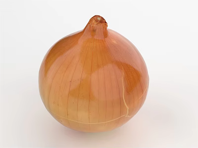 Fresh Whole Brown Onion with Natural Skin Texture on White Background 3d model