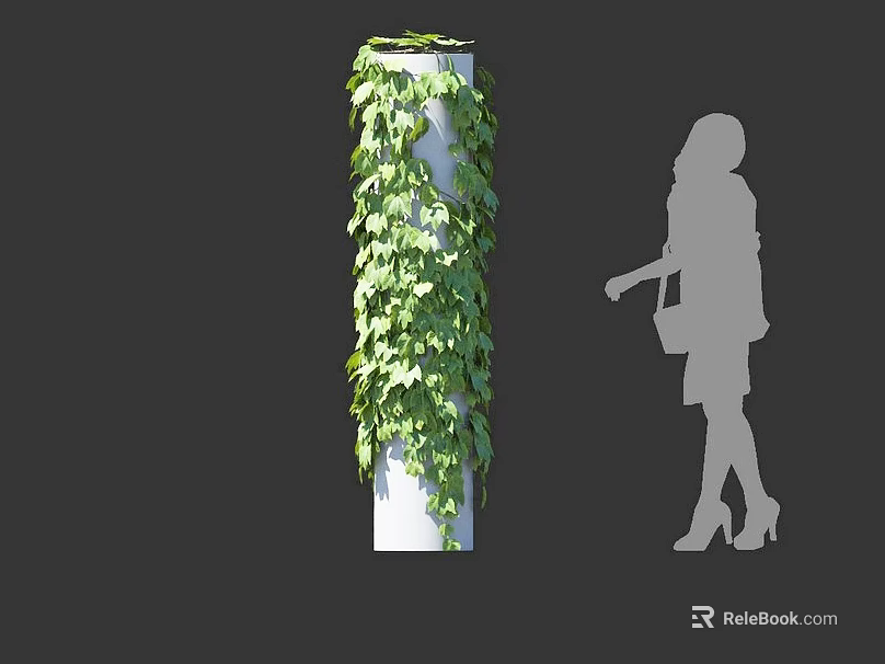 Green Ivy Covered White Column With Woman Silhouette Standing Next To 3d model 
