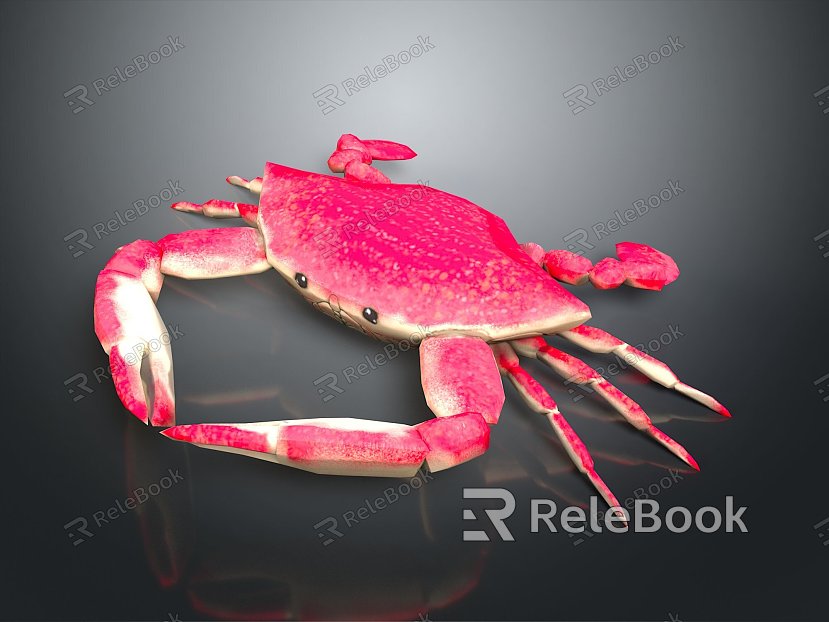 crab sea crab river crab hairy crab bread crab hermit crab big crab small crab marine animal fish model