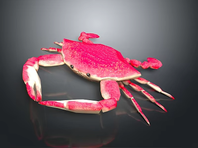 Vibrant Pink Crab with Distinctive Claws and Legs on Glossy Black Background 3d model