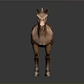 Realistic Brown Horse Statue Standing On Gray Background With Shiny Details
