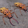 Modern saber-toothed tiger beetle female and male insect animal creatures 3d model