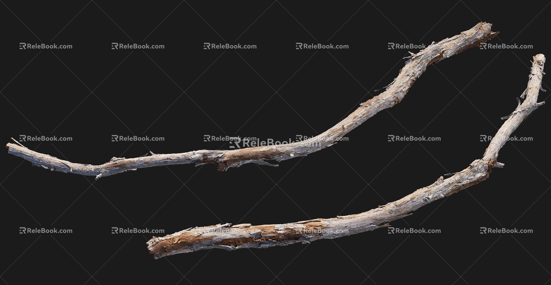 Branch 3d model