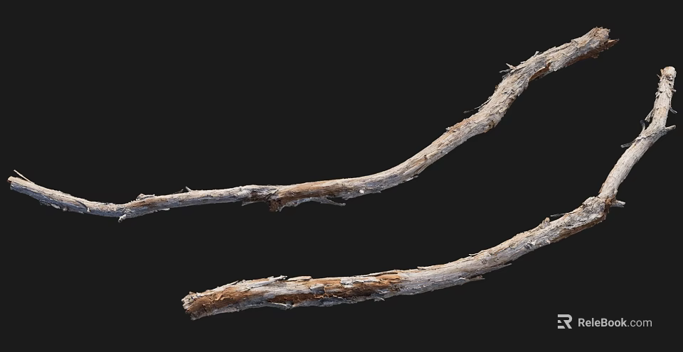 Natural Stone Wood Branches With Dried Rough Texture And Grayish Brown Color 3d model 