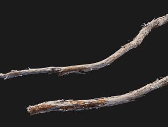 Branch 3d model