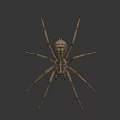 Brown Spider With Long Legs Patterned Body And Prominent Eyes On Dark Background