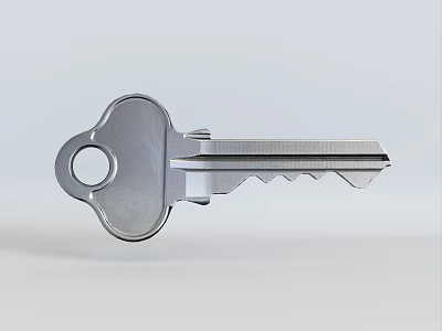 Durable Silver Metal Key For Home Door Lock As Essential Household Item 3d model
