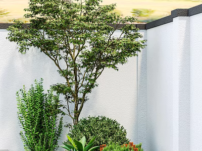 Garden Plant Combination with Tree Shrub Succulent and Red Flowers by White Wall 3d model
