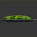 Two Fresh Juicy Red Watermelon Slices on a White Plate Ready to Eat