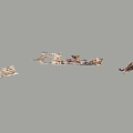 Modern Cat Pet Cat Kitten 3d model