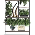 Elegant Garden Decor Display With Multi Tiered Shelves Various Plants And Decorative Ornaments