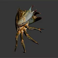 Detailed Brown Copper Colored Crab With Hard Shell Claws And Legs As Aquatic Animal