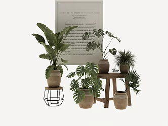 modern green plant 3d model