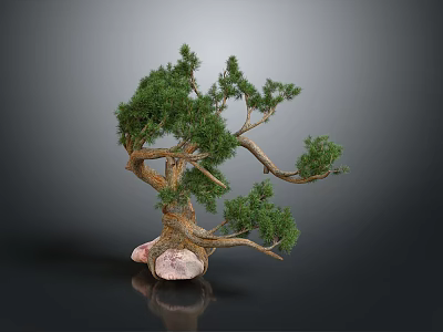 Bonsai Tree Featuring Curved Trunk Lush Green Foliage In Stone Pot With Pink White Texture 3d model