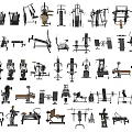 Comprehensive Collection of Fitness Equipment Featuring Weight Machines Exercise Benches And Dumbbells