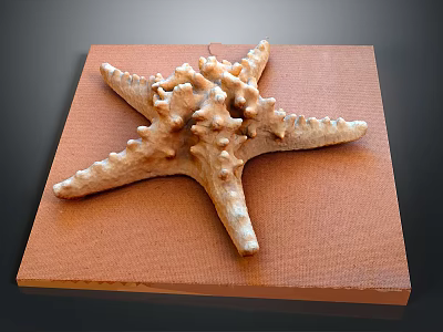 Starfish With Spiny Body Displayed On A Brown Textured Wooden Board 3d model