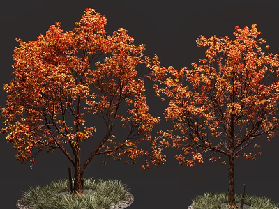 Autumn Trees With Vibrant Orange Red Leaves And Green Grass Base 3d model