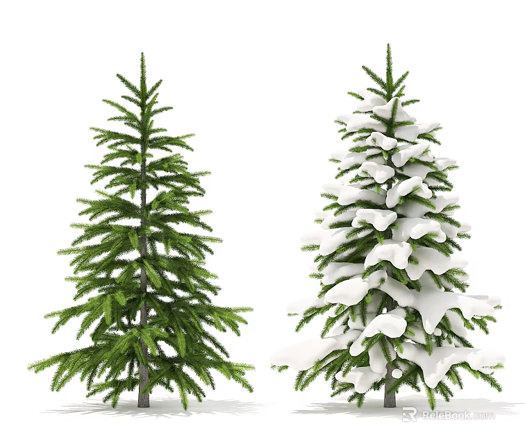 Two Evergreen Trees Side by Side with Green Foliage and Snow Covered Branches 3d model 