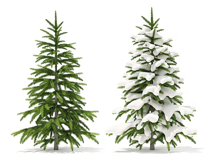 Two Evergreen Trees Side by Side with Green Foliage and Snow Covered Branches 3d model