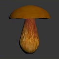 Shiny Vibrant Orange Mushroom With Rounded Cap And Textured Stem On Gray Surface