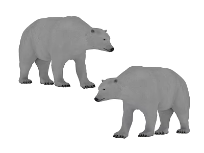 Two Polar Bears Standing Together in White Background Setting 3d model