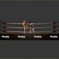 Professional Boxing Ring Sports Equipment With Boxers Ropes And Everlast Branding