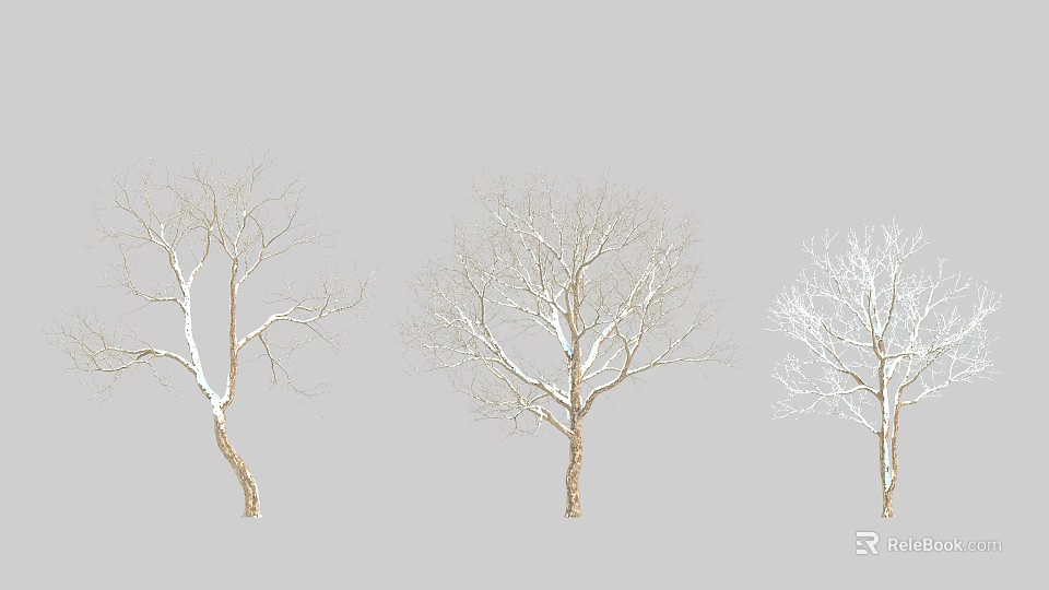 Leafless Arbor Trees With Snow Covered Branches On Gray Background 3d model 