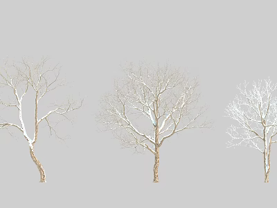 Leafless Arbor Trees With Snow Covered Branches On Gray Background 3d model