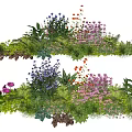 Colorful Mixed Plant Combination With Purple Pink Red Flowers And Green Foliage
