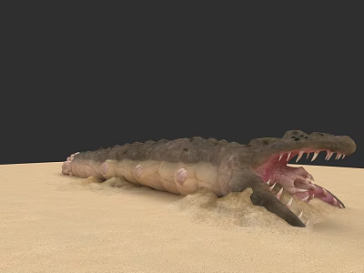 Realistic Crocodile Landscape Sculpture With Open Mouth And Sharp Teeth On Sandy Ground 3d model