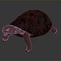Red Turtle with Glowing Lava Like Cracks on Shell in Dark Background 3d model