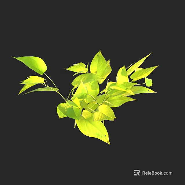 Vibrant Green Plant Leaves With Fresh Lush Foliage And Black Background 3d model 