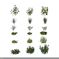 Various Fresh Green Crops Displayed In Grid Layout Showing Healthy Growth